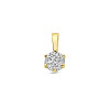 9-karaat-goudkleurige-hanger-met-briljant-geslepen-zirkonia-4-5-mm-breed-hoogte-9-mm