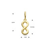 9-karaat-goudkleurige-hanger-met-infinity-teken-5-mm-breed-hoogte-16-mm