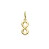 9-karaat-goudkleurige-hanger-met-infinity-teken-5-mm-breed-hoogte-16-mm
