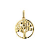 9-karaat-goudkleurige-hanger-met-levensboom-in-cirkel-diameter-11-mm