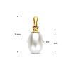 9-karaat-goudkleurige-parel-hanger-6-mm-breed-hoogte-15-mm