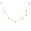anker-schakelketting-muntjes-goud-41-43-45-cm-draaglengte