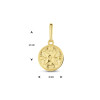bewerkte-gouden-kompas-hanger-8-mm-x-15-mm