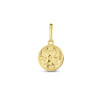 bewerkte-gouden-kompas-hanger-8-mm-x-15-mm
