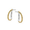 bicolor-gouden-en-zilveren-oorstekers-met-zirkonia-5-mm-x-15-mm