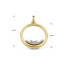bicolor-gouden-hanger-cirkel-met-diamant-0-115ct-18-5-mm-x-25-mm