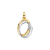 bicolor-hanger-met-zirkonia-en-twee-verbonden-cirkels-13-mm-x-22-mm