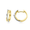 bicolor-klapoorringen-met-gekruiste-strepen-en-diamanten-0-03-crt-3-mm-diameter-14-mm