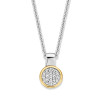 bicolor-zirkoniahanger-rond-met-gerhodineerd-collier