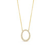 collier-van-14-karaat-goud-met-ovale-hanger-en-briljante-diamanten-025-crt-lengte-4245-cm