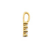 diamanten-hanger-0-05-crt-14-karaat-goud-2-mm-breed-hoogte-11-mm