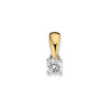geel-en-witgouden-hanger-met-diamant-0-10-crt