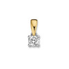 geel-en-witgouden-hanger-met-diamant-0-19-crt