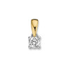 geel-en-witgouden-hanger-met-diamant-0-24-crt