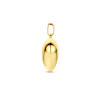 glanzende-hartjes-hanger-van-14-karaat-goud-19-5-mm-x-15-5-mm