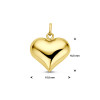 glanzende-hartjes-hanger-van-14-karaat-goud-19-5-mm-x-15-5-mm