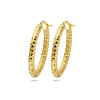 gold-plated-gediamanteerde-oorringen-3-mm-diameter-30-mm