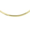 gold-plated-omega-ketting-lengte-42-3-cm