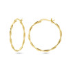 gold-plated-oorringen-met-gedraaide-en-verweven-buis-2-mm/variant/diameter-30-mm