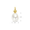gold-plated-parelhanger-9-5-mm-x-10-5-mm