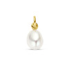 gold-plated-parelhanger-9-5-mm-x-10-5-mm