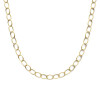 gouden-14-karaat-glanzende-schakelketting-met-10-mm-ovale-schakels-lengte-45-cm