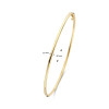 gouden-bangle-met-dopsluiting-en-ronde-buis-1-8-mm-diameter-60-mm