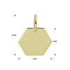 gouden-graveerhanger-zeshoek-12-x-9-mm