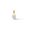 gouden-hanger-met-zirkonia-9-mm