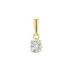gouden-hanger-met-zirkonia-diameter-4-mm