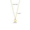 gouden-ketting-met-anker-schakels-en-ronde-en-zirkonia-hanger-lengte-40-42-44-cm