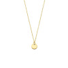 gouden-ketting-met-anker-schakels-en-ronde-en-zirkonia-hanger-lengte-40-42-44-cm