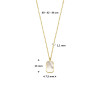 gouden-ketting-met-parelmoer-zeshoekachthoek-hanger-13-mm-lengte-40-42-44-cm