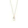 gouden-ketting-met-parelmoer-zeshoekachthoek-hanger-13-mm-lengte-40-42-44-cm