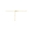 gouden-ketting-met-twee-ronde-hangers-en-transparante-zirkonia-lengte-40-42-44-cm