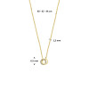 gouden-ketting-met-twee-ronde-hangers-en-transparante-zirkonia-lengte-40-42-44-cm