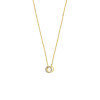 gouden-ketting-met-twee-ronde-hangers-en-transparante-zirkonia-lengte-40-42-44-cm