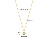 gouden-ketting-met-zirkonia-hanger-en-jasseron-schakel-lengte-40-42-44-cm