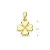 gouden-klavertje-vier-hanger-diameter-10-mm