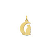 gouden-maan-hanger-met-een-zittende-kat