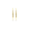 gouden-oorhaak-oorhangers-met-transparante-zirkonia-s-2-5-mm-breed-hoogte-21-mm