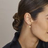 gouden-oorhangers-witte-zoetwaterparels-en-franse-haak-hoogte-24-mm