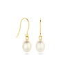 gouden-oorhangers-witte-zoetwaterparels-en-franse-haak-hoogte-24-mm