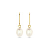 gouden-oorhangers-witte-zoetwaterparels-en-franse-haak-hoogte-24-mm
