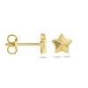 gouden-oorknopjes-gediamanteerde-sterren-5-5-x-5-mm