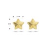 gouden-oorknopjes-gediamanteerde-sterren-5-5-x-5-mm