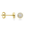 gouden-oorknopjes-met-transparante-zirkonia-5-5-mm