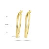 gouden-oorringen-gedraaide-ovale-buis-2-5-mm-breed-diameter-24-mm