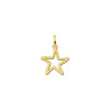 gouden-open-ster-hanger