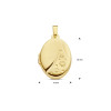 gouden-ovaal-medaillon-met-sterrenpatroon-hoogte-18-mm
